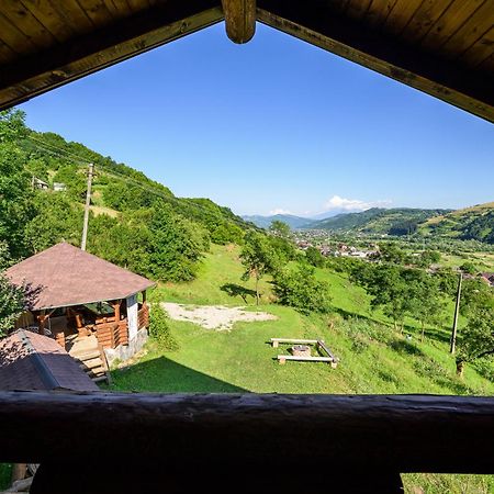 Cabana Din Revier Viseu de Jos Exteriör bild