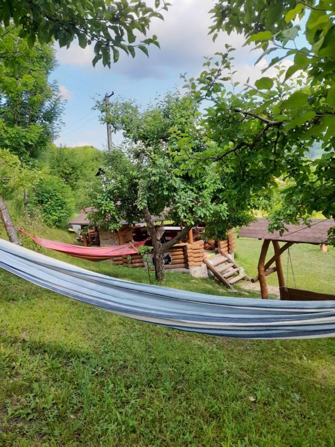 Cabana Din Revier Viseu de Jos Exteriör bild