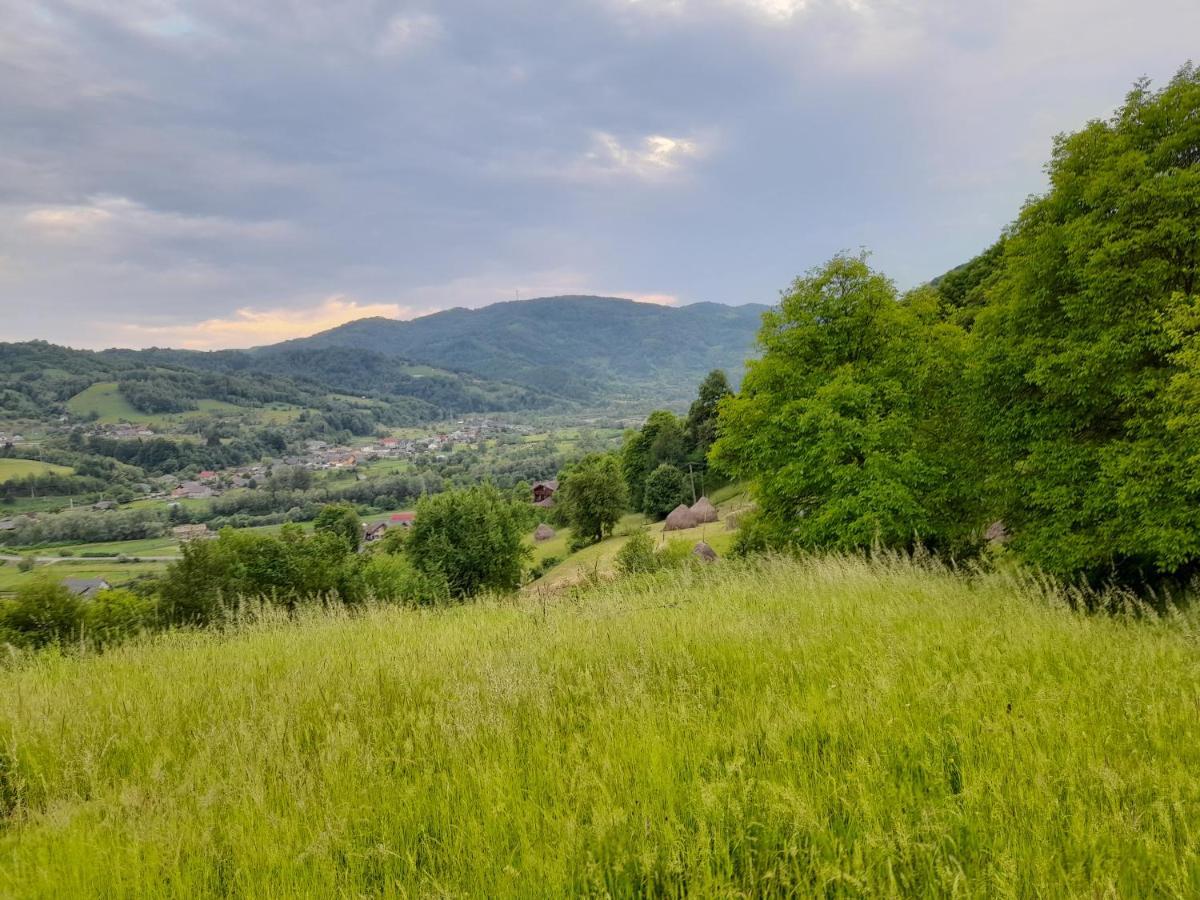 Cabana Din Revier Viseu de Jos Exteriör bild