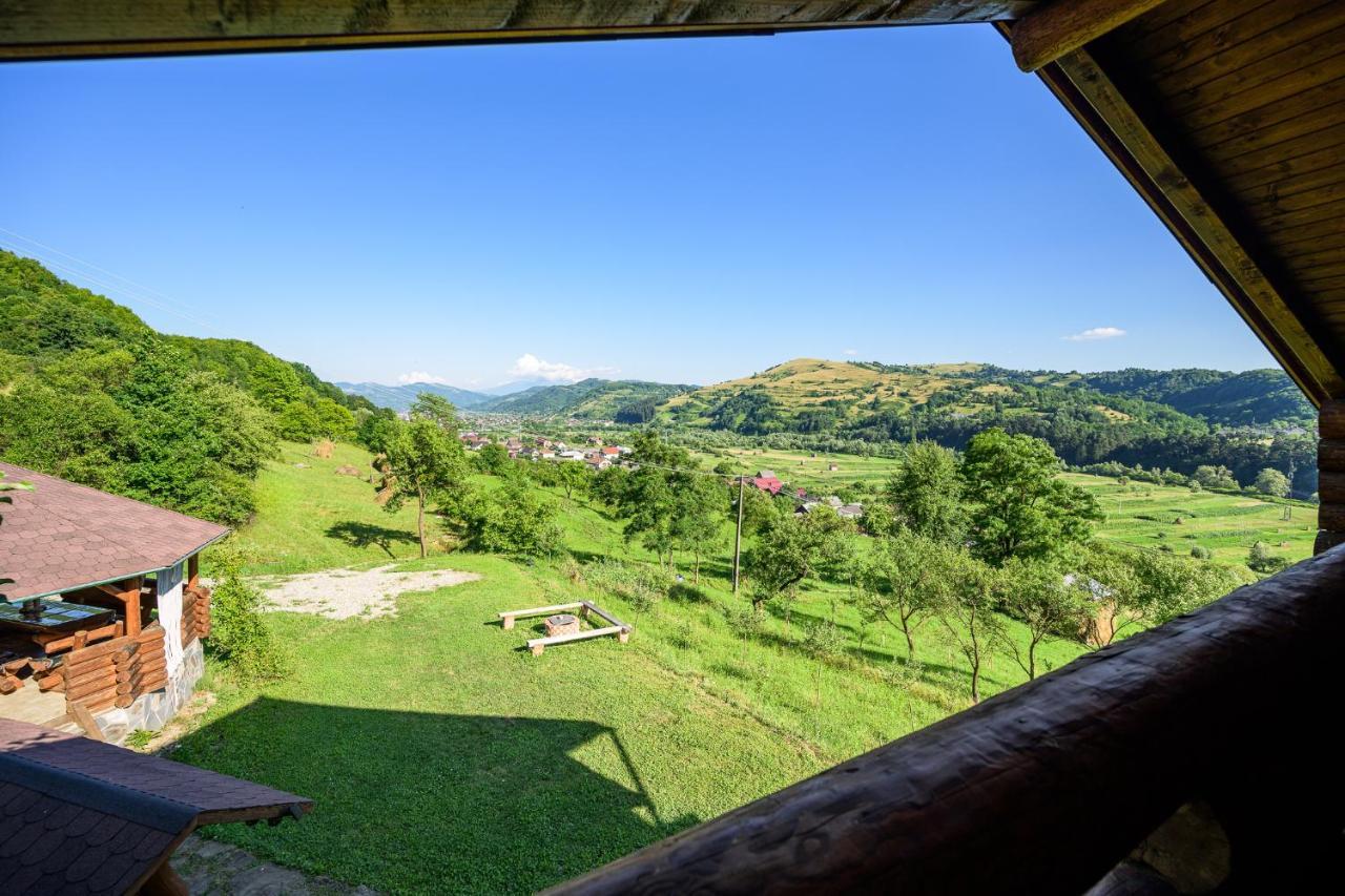 Cabana Din Revier Viseu de Jos Exteriör bild