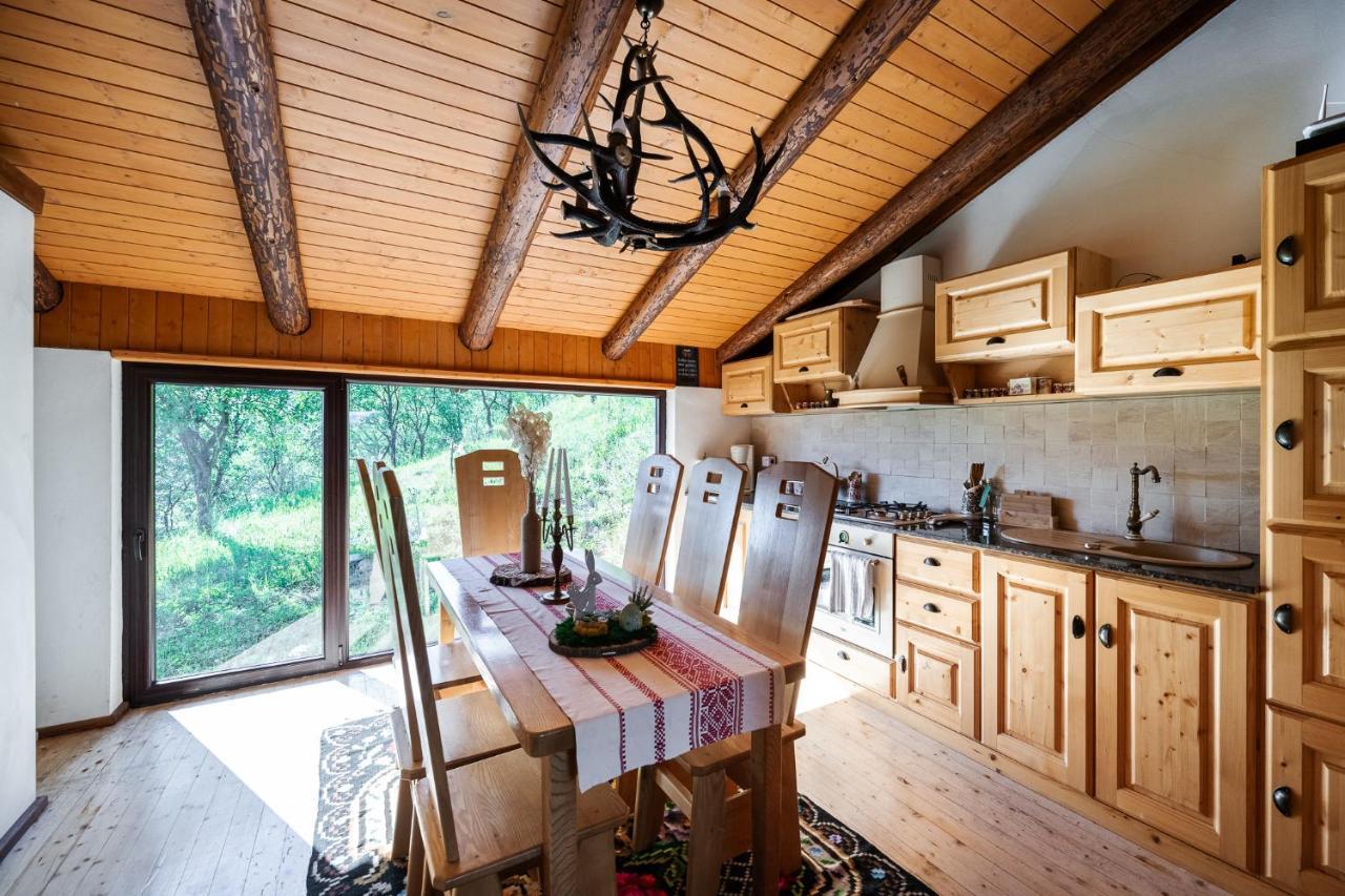 Cabana Din Revier Viseu de Jos Exteriör bild