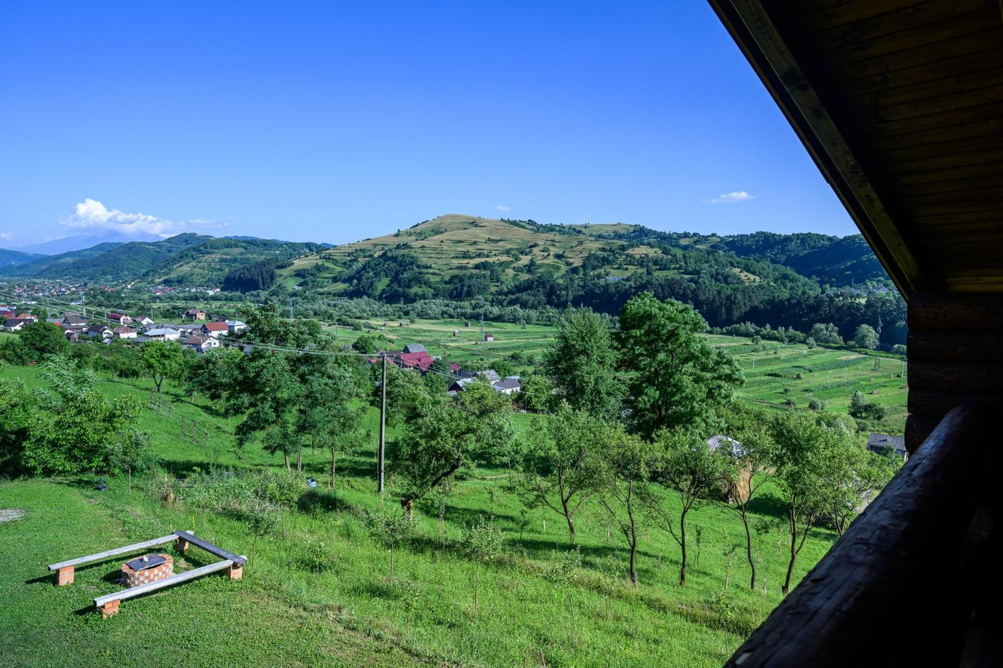 Cabana Din Revier Viseu de Jos Exteriör bild