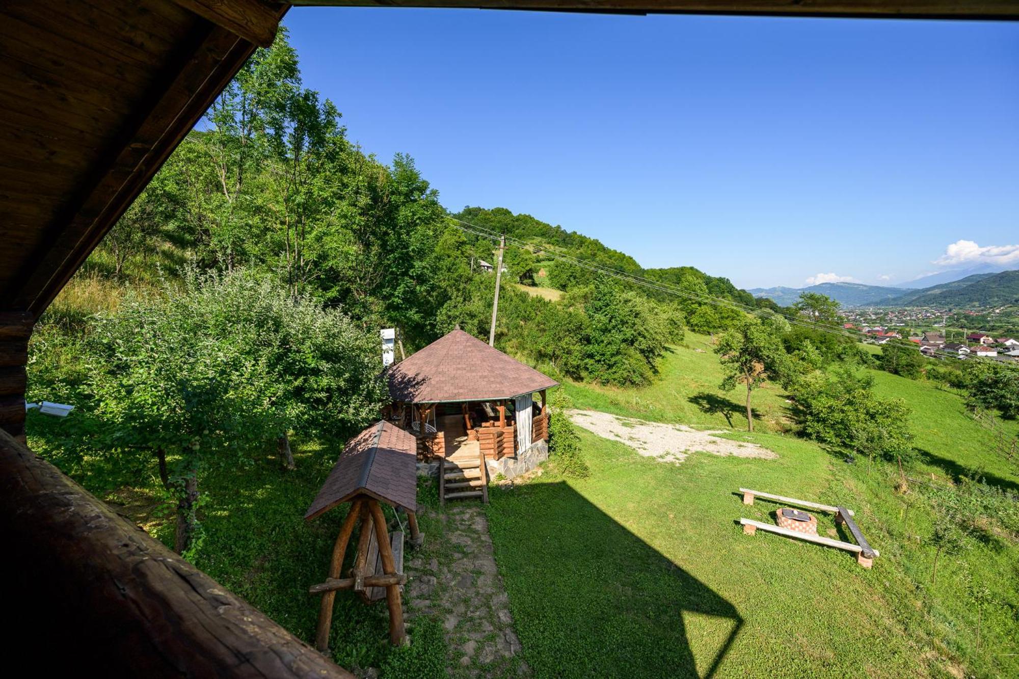 Cabana Din Revier Viseu de Jos Exteriör bild